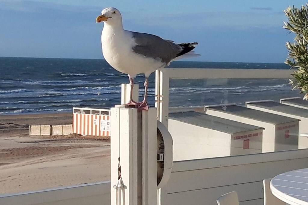 Zeezonzand Koksijde Exterior foto